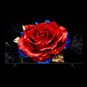 <b>使其正在性价比上显得不敷</b>